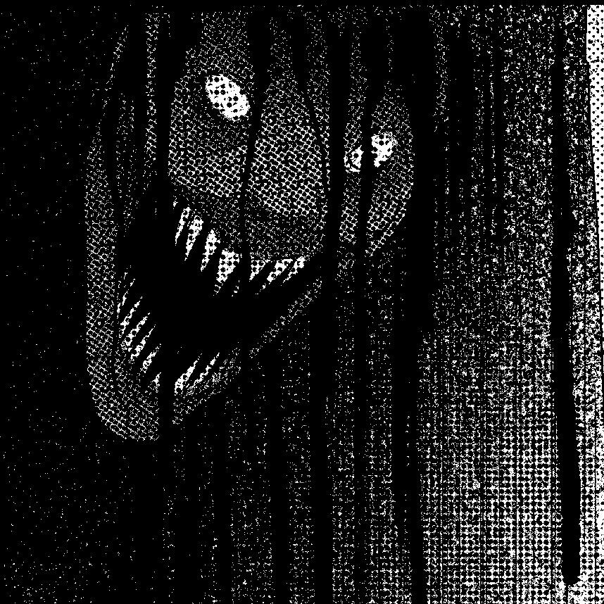 Terror Terror